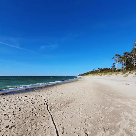 Dom wakacyjny Gorgeous In With Wifi *