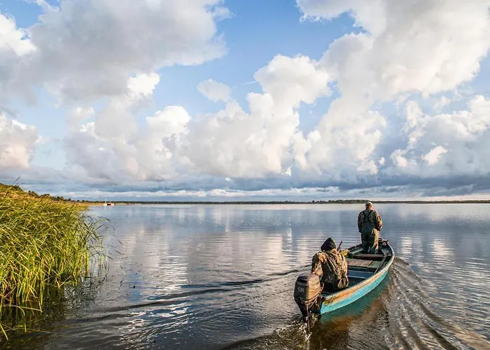 Gorgeous In With Wifi Postomino