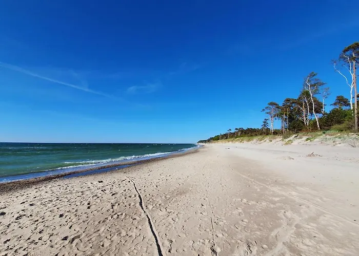 Ferienhaus Gorgeous In With Wifi *